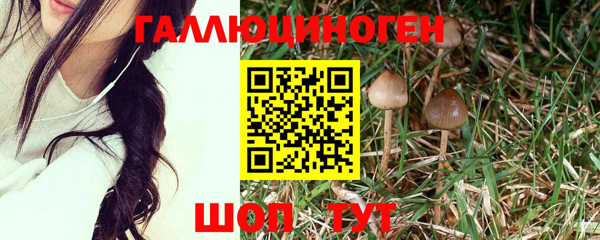 Псилоцибиновые грибы прущие грибы Красноармейск